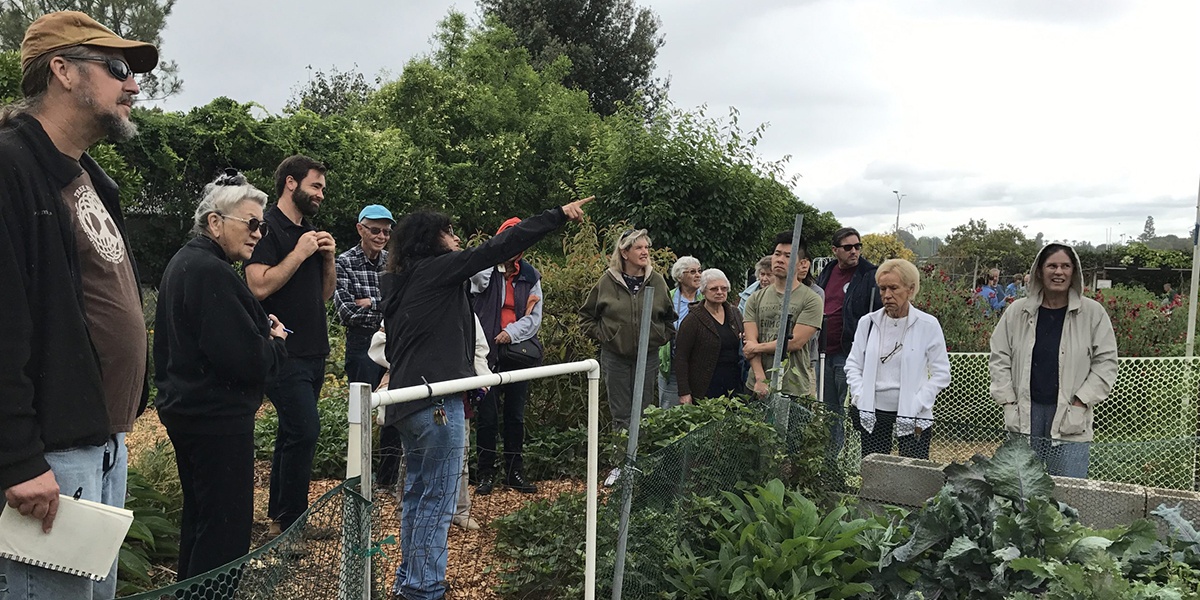 Festival of Fruit Slider #3