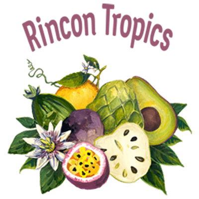 Rincon Tropics Logo