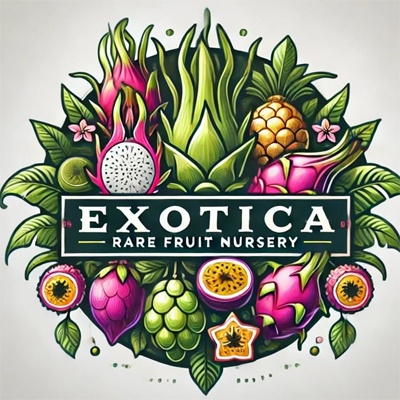 Exotica Rare Fruits Nursery Logo