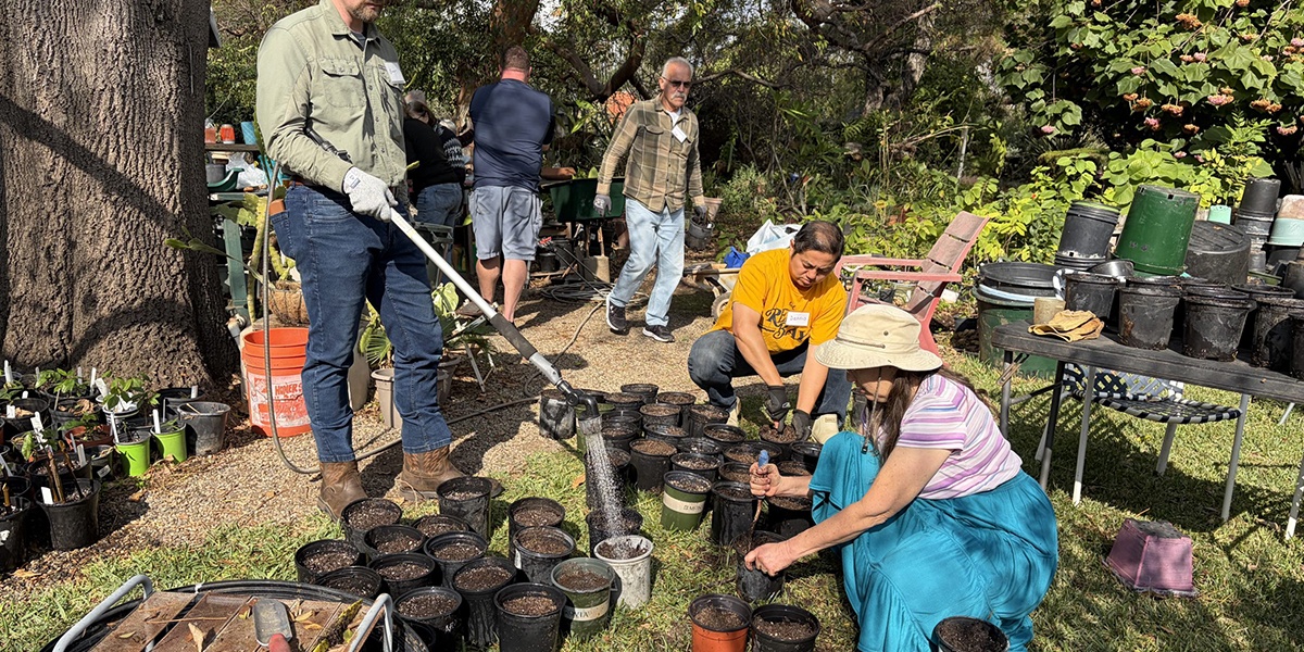 Festival of Fruit Slider #2