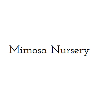 Mimosa Nursery Logo