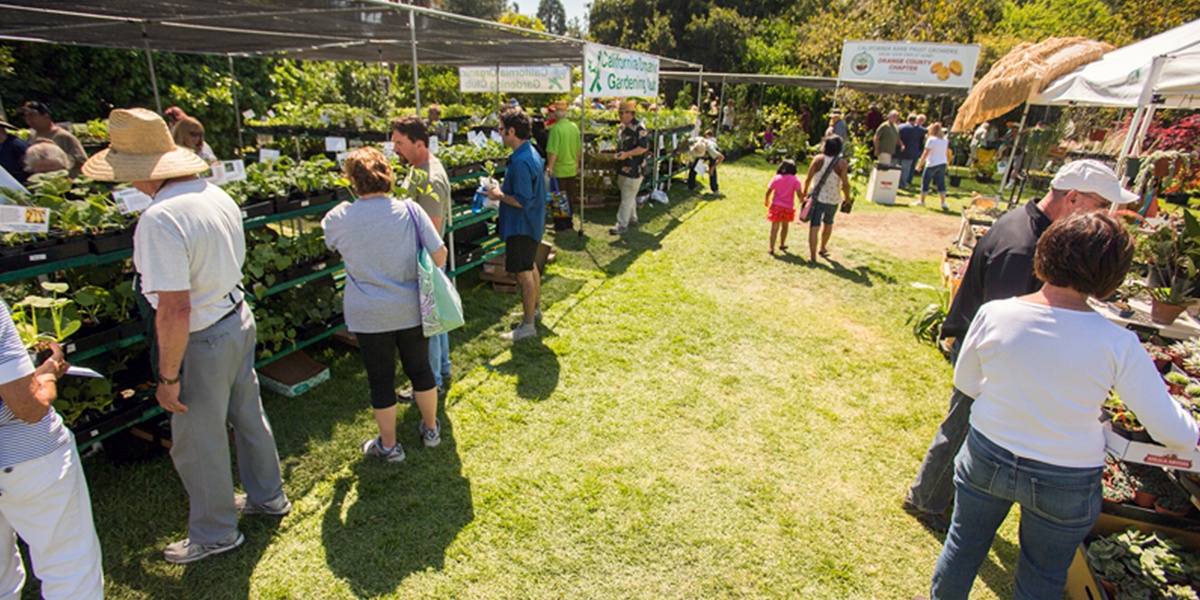 Southern Californias at the Festival of Fruit